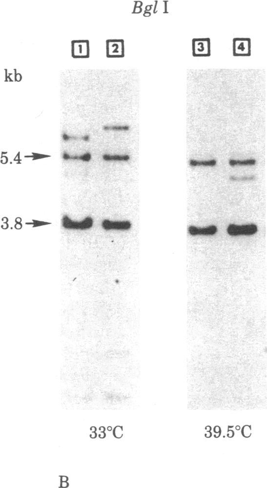 https://cdn.ncbi.nlm.nih.gov/pmc/blobs/01c5/319208/a4383c186a52/pnas00654-0452-e.jpg