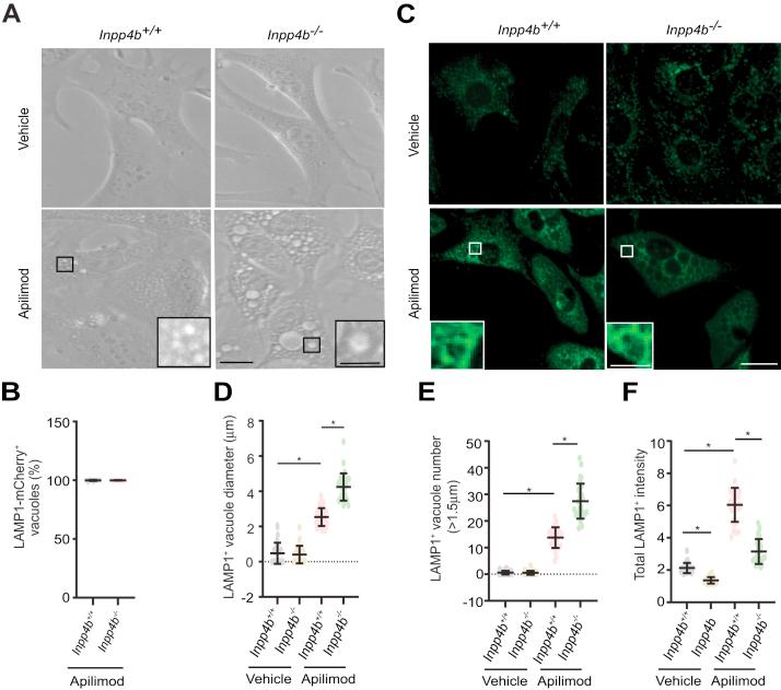 https://cdn.ncbi.nlm.nih.gov/pmc/blobs/01c5/9304791/0386259c1f14/gr1.jpg