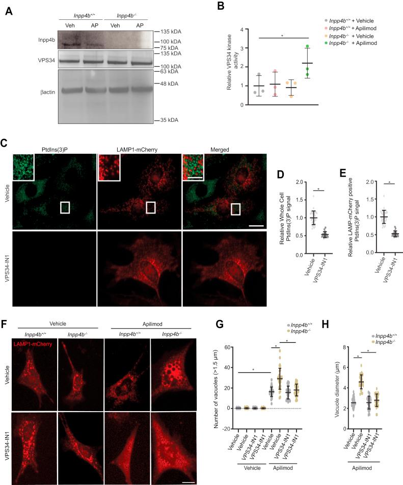 https://cdn.ncbi.nlm.nih.gov/pmc/blobs/01c5/9304791/9062e76fc714/gr7.jpg