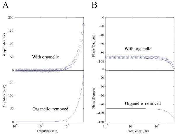 https://cdn.ncbi.nlm.nih.gov/pmc/blobs/01c8/2836366/1cdff0ffc4b4/1743-0003-7-12-5.jpg