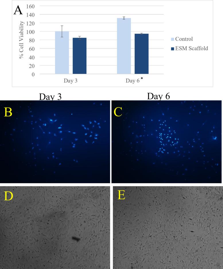 https://cdn.ncbi.nlm.nih.gov/pmc/blobs/01ca/11700202/9c38cef8611f/41598_2025_85131_Fig3_HTML.jpg