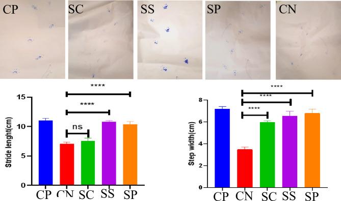 https://cdn.ncbi.nlm.nih.gov/pmc/blobs/01ca/11700202/a5ab93d5a098/41598_2025_85131_Fig5_HTML.jpg