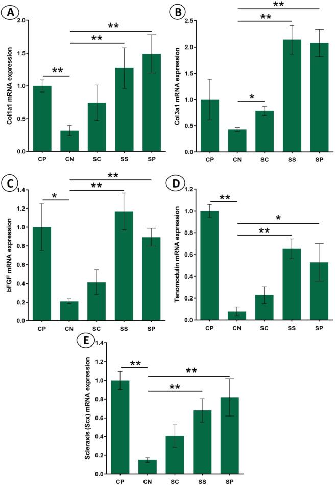 https://cdn.ncbi.nlm.nih.gov/pmc/blobs/01ca/11700202/f66729228375/41598_2025_85131_Fig7_HTML.jpg