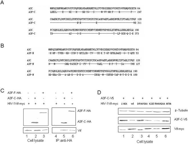 https://cdn.ncbi.nlm.nih.gov/pmc/blobs/01ca/2597746/c18e9895dda1/pone.0003963.g006.jpg