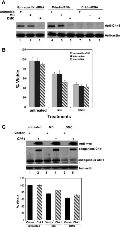https://cdn.ncbi.nlm.nih.gov/pmc/blobs/01ca/2907727/29db9df23b86/tx-2009-00420k_0005.jpg