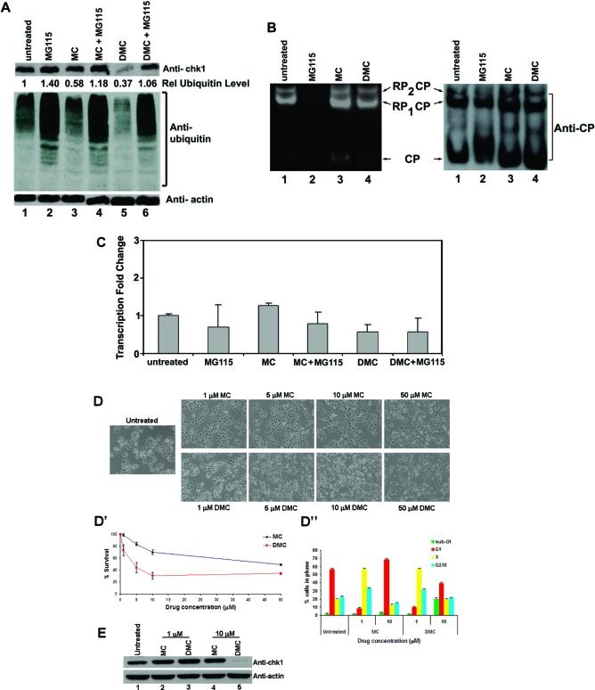 https://cdn.ncbi.nlm.nih.gov/pmc/blobs/01ca/2907727/2f9033d98bda/tx-2009-00420k_0004.jpg