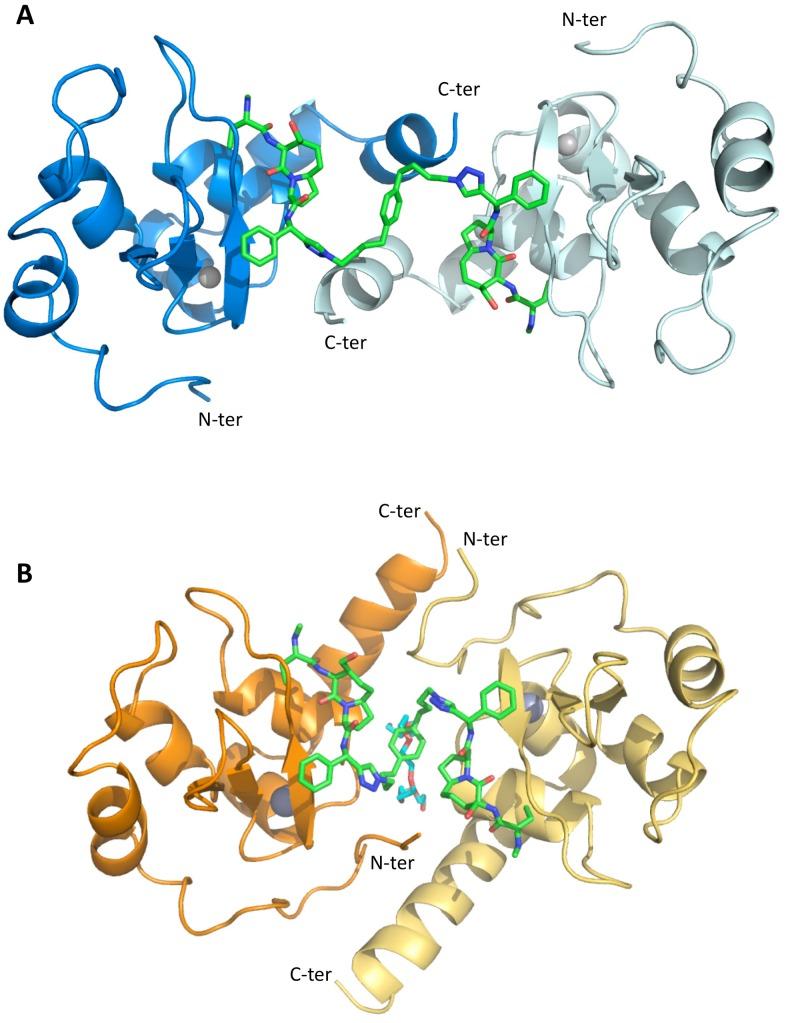 https://cdn.ncbi.nlm.nih.gov/pmc/blobs/01ca/3499469/fa1e06b3dae9/pone.0049527.g004.jpg