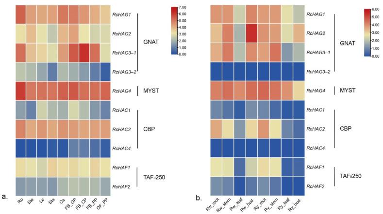 https://cdn.ncbi.nlm.nih.gov/pmc/blobs/01ca/9222719/d9b39a894f64/genes-13-00980-g005.jpg