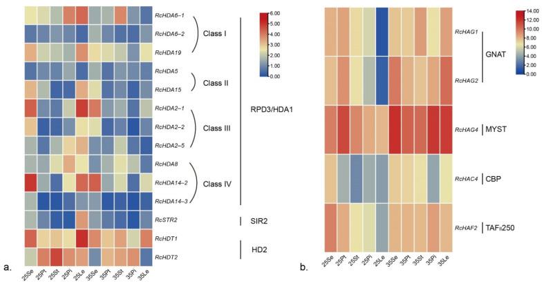 https://cdn.ncbi.nlm.nih.gov/pmc/blobs/01ca/9222719/d9c4cc135985/genes-13-00980-g006.jpg
