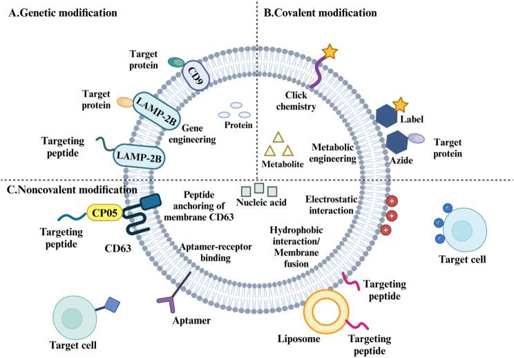 https://cdn.ncbi.nlm.nih.gov/pmc/blobs/01d1/12004682/f0ce28fe6d98/13287_2025_4330_Fig6_HTML.jpg
