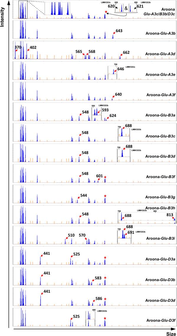 https://cdn.ncbi.nlm.nih.gov/pmc/blobs/01d1/3562532/75a5164ee522/1471-2229-12-243-2.jpg