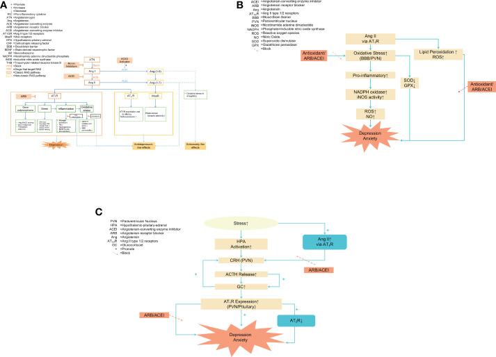 https://cdn.ncbi.nlm.nih.gov/pmc/blobs/01d1/9902382/087b20804cce/fimmu-13-1053136-g001.jpg
