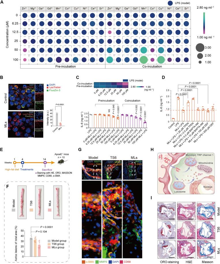 https://cdn.ncbi.nlm.nih.gov/pmc/blobs/01d2/12189970/27cae6cb7a7d/sciadv.adu3919-f3.jpg