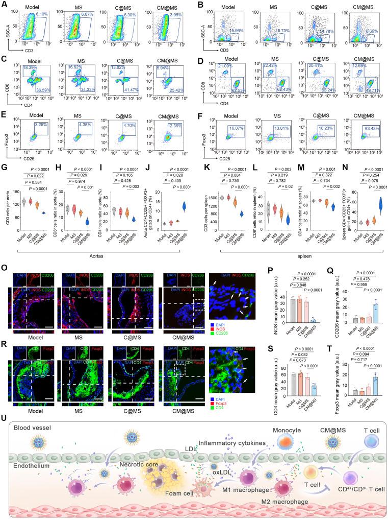 https://cdn.ncbi.nlm.nih.gov/pmc/blobs/01d2/12189970/8872f4e693b3/sciadv.adu3919-f9.jpg