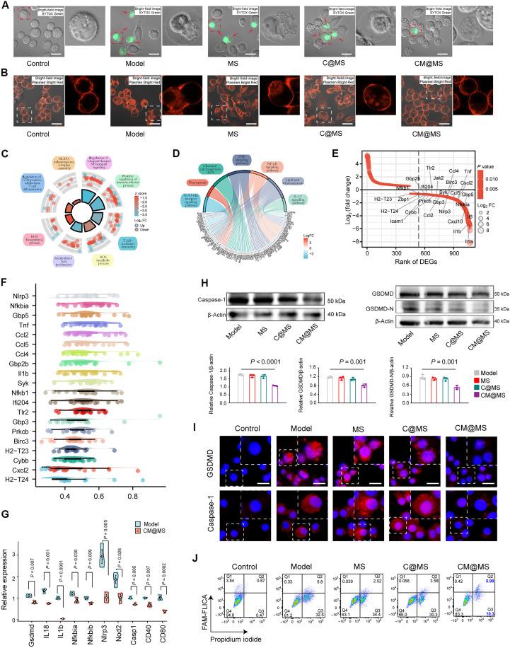 https://cdn.ncbi.nlm.nih.gov/pmc/blobs/01d2/12189970/a55e281dde36/sciadv.adu3919-f7.jpg