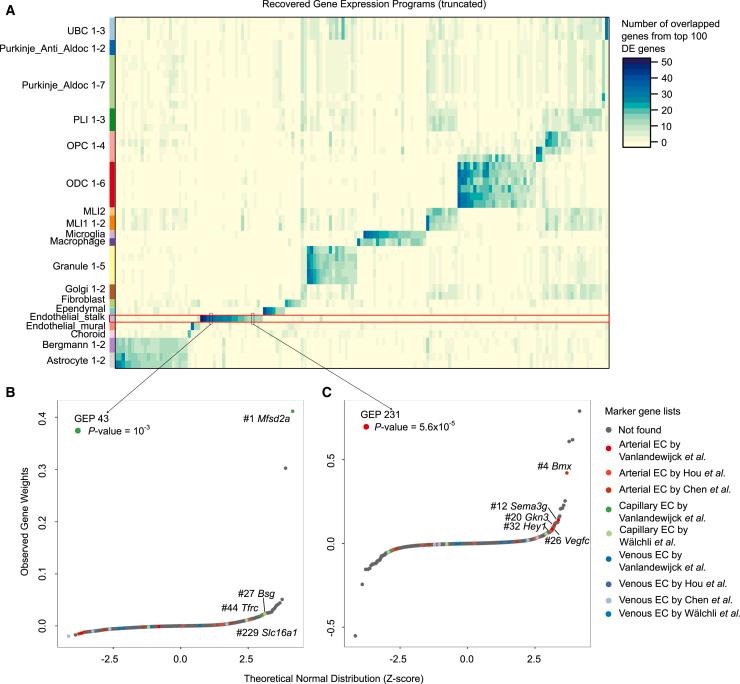 https://cdn.ncbi.nlm.nih.gov/pmc/blobs/01d4/11770216/74e036f52b4f/gr4.jpg