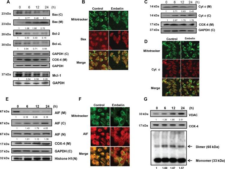 https://cdn.ncbi.nlm.nih.gov/pmc/blobs/01d5/4529160/14f3c3b0494e/pone.0134760.g003.jpg