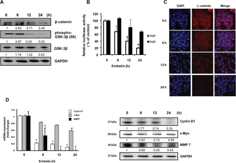 https://cdn.ncbi.nlm.nih.gov/pmc/blobs/01d5/4529160/6a6cb7b1cd60/pone.0134760.g005.jpg