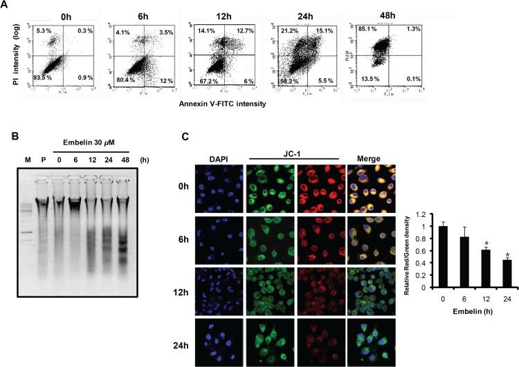 https://cdn.ncbi.nlm.nih.gov/pmc/blobs/01d5/4529160/857f58c221db/pone.0134760.g002.jpg