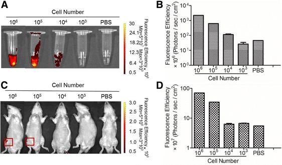https://cdn.ncbi.nlm.nih.gov/pmc/blobs/01d8/5103374/50689f5bfa4f/13287_2016_420_Fig3_HTML.jpg
