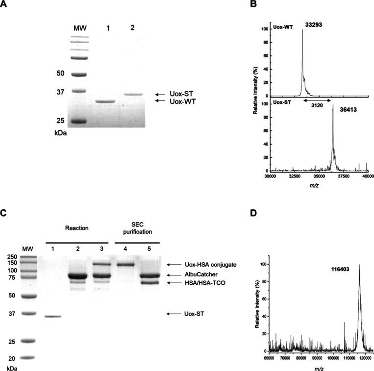 https://cdn.ncbi.nlm.nih.gov/pmc/blobs/01db/11137731/6bc5423f0c2f/ao4c02303_0004.jpg