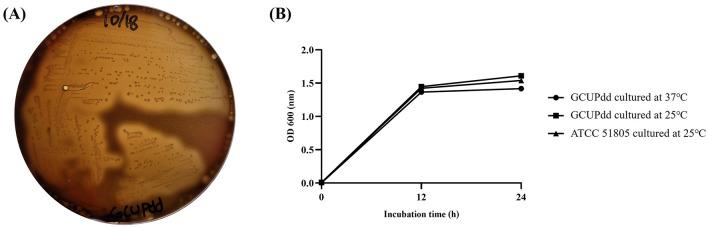 https://cdn.ncbi.nlm.nih.gov/pmc/blobs/01db/12369411/b80a41adf865/fvets-12-1574705-g0002.jpg
