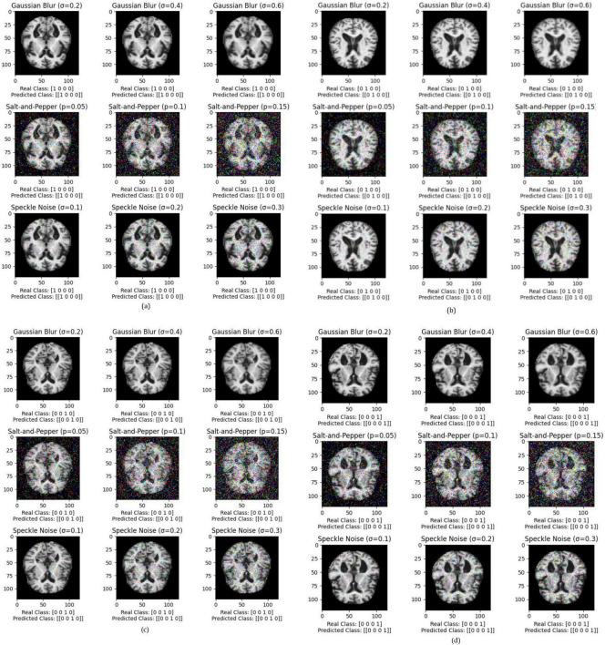 https://cdn.ncbi.nlm.nih.gov/pmc/blobs/01dd/11525984/87401cb7d74e/fncom-18-1444019-g006.jpg