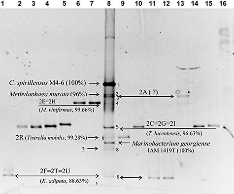 https://cdn.ncbi.nlm.nih.gov/pmc/blobs/01de/2702504/f1668874e3b7/emi0010-2138-f3.jpg