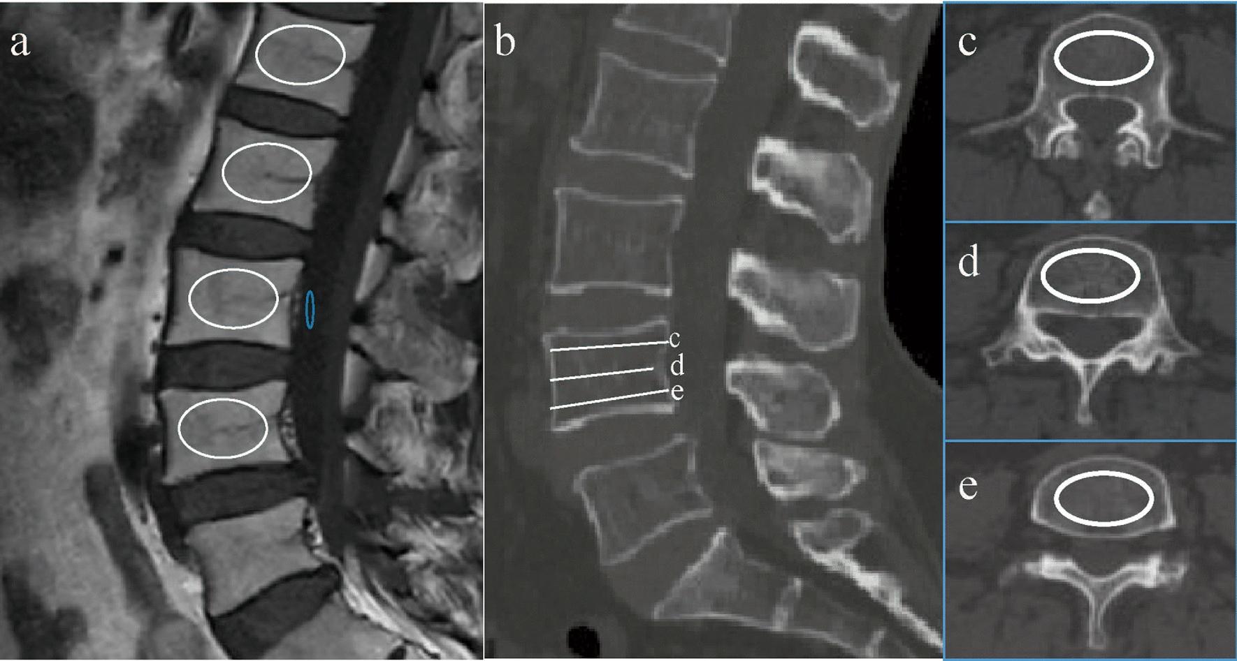 https://cdn.ncbi.nlm.nih.gov/pmc/blobs/01df/12210715/3b7fce14b52b/40001_2025_2797_Fig2_HTML.jpg