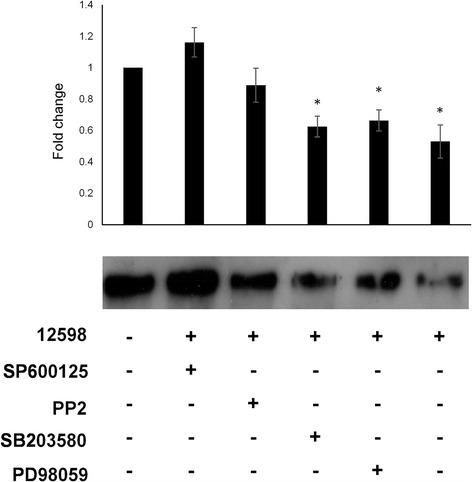 https://cdn.ncbi.nlm.nih.gov/pmc/blobs/01e0/5390343/77aaabfa0d4a/12866_2017_1003_Fig4_HTML.jpg