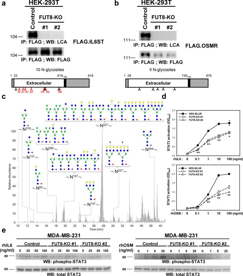 https://cdn.ncbi.nlm.nih.gov/pmc/blobs/01e0/8932202/cdbd0dd90e33/13058_2022_1513_Fig5_HTML.jpg