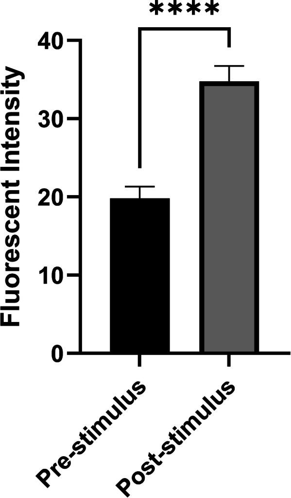 https://cdn.ncbi.nlm.nih.gov/pmc/blobs/01e2/12350671/6b5d1fbc1d53/41598_2025_14187_Fig10_HTML.jpg