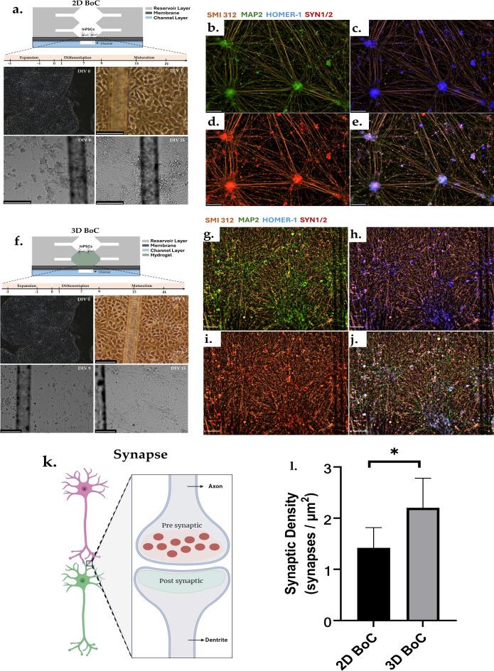 https://cdn.ncbi.nlm.nih.gov/pmc/blobs/01e2/12350671/91409bc60bfb/41598_2025_14187_Fig11_HTML.jpg
