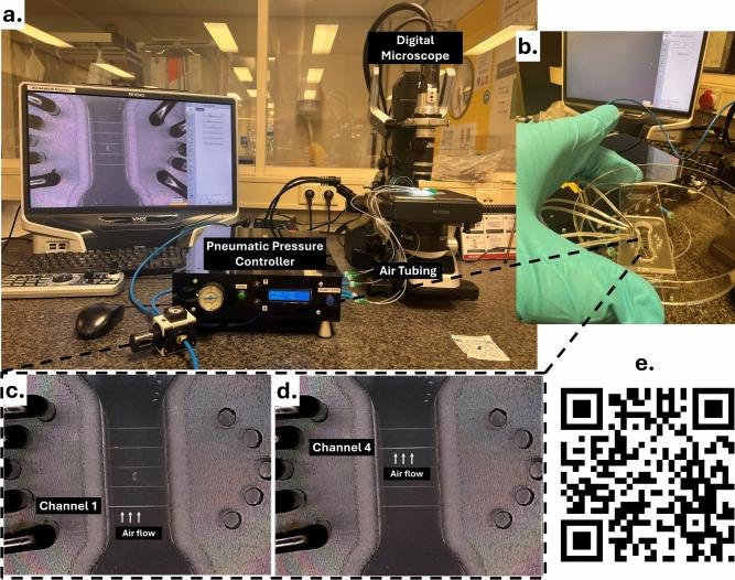 https://cdn.ncbi.nlm.nih.gov/pmc/blobs/01e2/12350671/c0a67ef99561/41598_2025_14187_Fig4_HTML.jpg