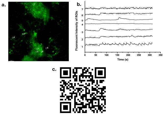 https://cdn.ncbi.nlm.nih.gov/pmc/blobs/01e2/12350671/c55c5cbd0ecb/41598_2025_14187_Fig9_HTML.jpg