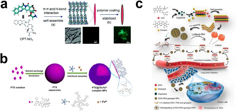 https://cdn.ncbi.nlm.nih.gov/pmc/blobs/01e8/8424425/08f64648e416/gr4.jpg