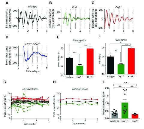 https://cdn.ncbi.nlm.nih.gov/pmc/blobs/01e9/6071063/1afab8fddc45/fj.201701165RRf3.jpg