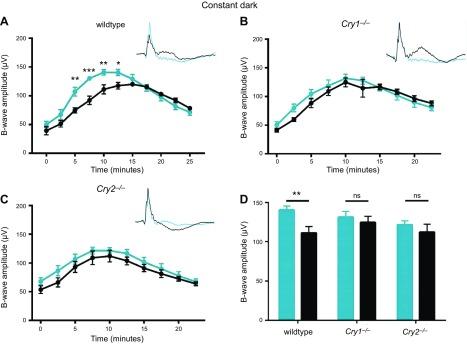 https://cdn.ncbi.nlm.nih.gov/pmc/blobs/01e9/6071063/e1c6bcbaa5ab/fj.201701165RRf4.jpg