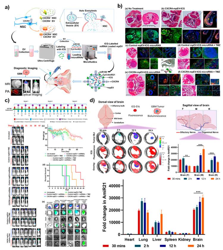 https://cdn.ncbi.nlm.nih.gov/pmc/blobs/01e9/8746658/0b6df998c1e7/nanomaterials-12-00018-g005.jpg
