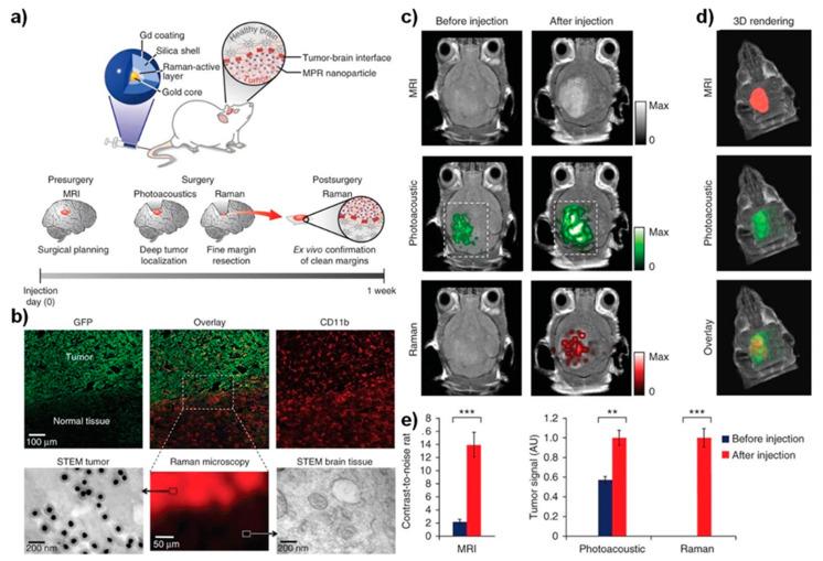 https://cdn.ncbi.nlm.nih.gov/pmc/blobs/01e9/8746658/55b078ee44af/nanomaterials-12-00018-g002.jpg