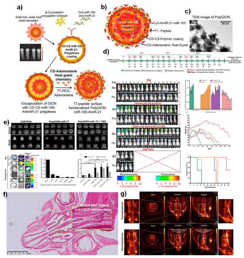 https://cdn.ncbi.nlm.nih.gov/pmc/blobs/01e9/8746658/ed4640a32dcf/nanomaterials-12-00018-g003.jpg
