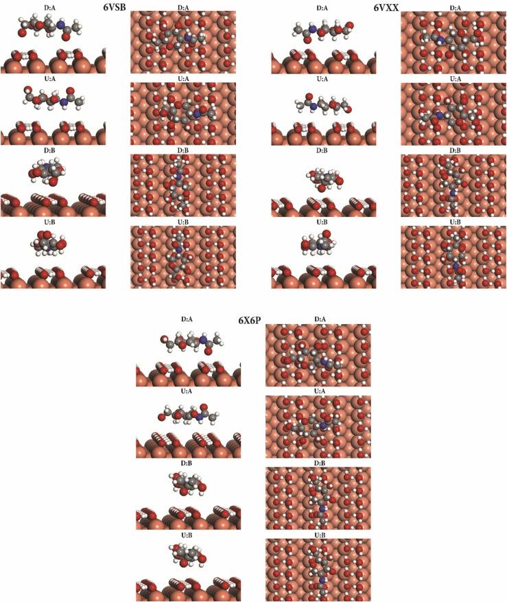 https://cdn.ncbi.nlm.nih.gov/pmc/blobs/01ec/8940556/041e49937179/gr6_lrg.jpg
