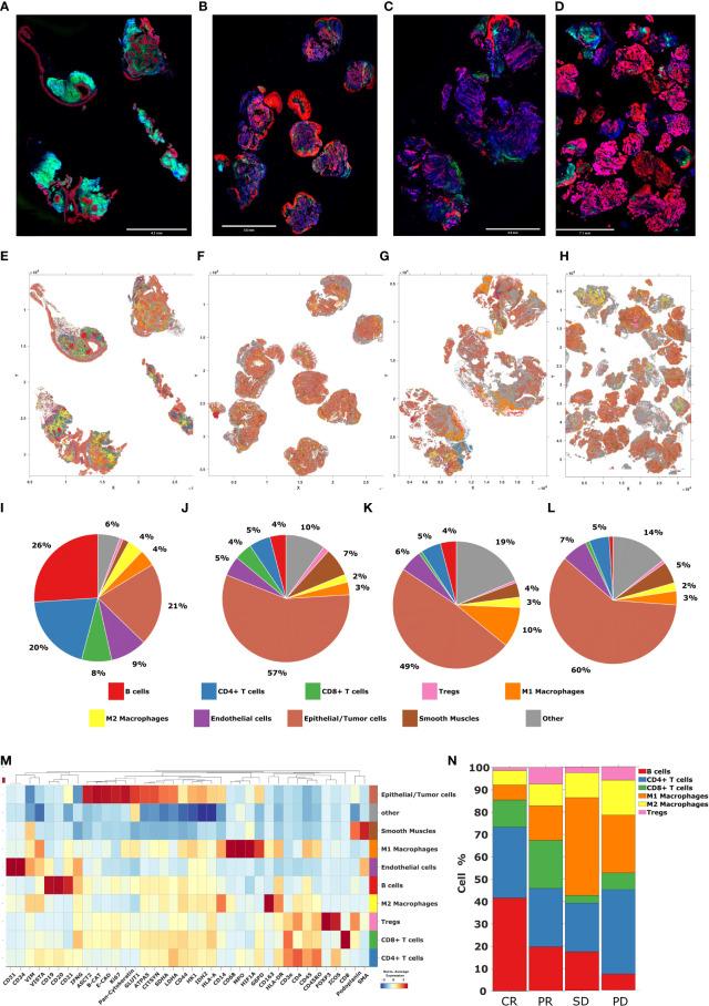 https://cdn.ncbi.nlm.nih.gov/pmc/blobs/01ee/10154785/981a95ee381b/fimmu-14-1135489-g009.jpg
