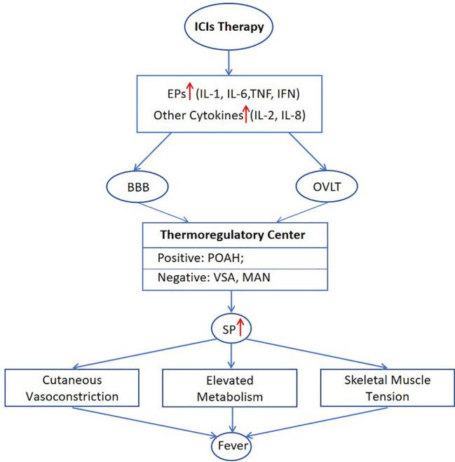 https://cdn.ncbi.nlm.nih.gov/pmc/blobs/01f3/10963505/cb434ca16c5f/fimmu-15-1364128-g001.jpg