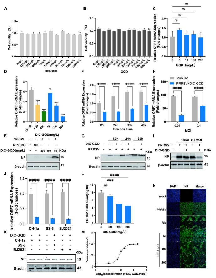 https://cdn.ncbi.nlm.nih.gov/pmc/blobs/01f4/11221364/bf60d0c7d322/fmicb-15-1417404-g003.jpg