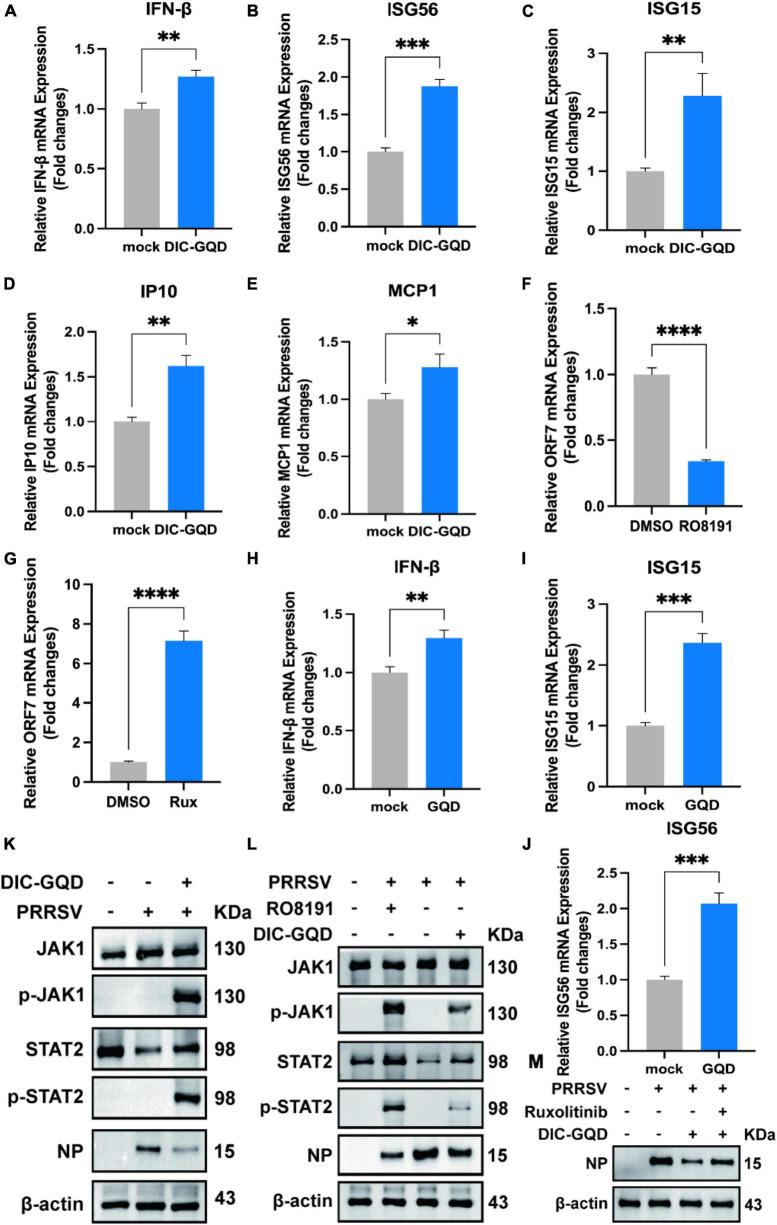 https://cdn.ncbi.nlm.nih.gov/pmc/blobs/01f4/11221364/fc18993c2987/fmicb-15-1417404-g006.jpg