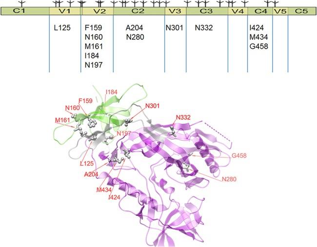 https://cdn.ncbi.nlm.nih.gov/pmc/blobs/01f6/4702699/d324f64a77a9/zjv9990911200002.jpg