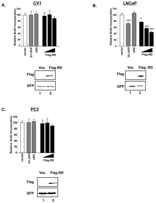 https://cdn.ncbi.nlm.nih.gov/pmc/blobs/01f8/2852245/bb689bc28b3a/nihms78288f3.jpg