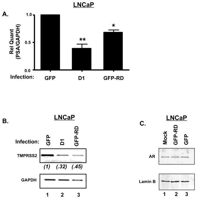 https://cdn.ncbi.nlm.nih.gov/pmc/blobs/01f8/2852245/e432fe1bbb2c/nihms78288f2.jpg