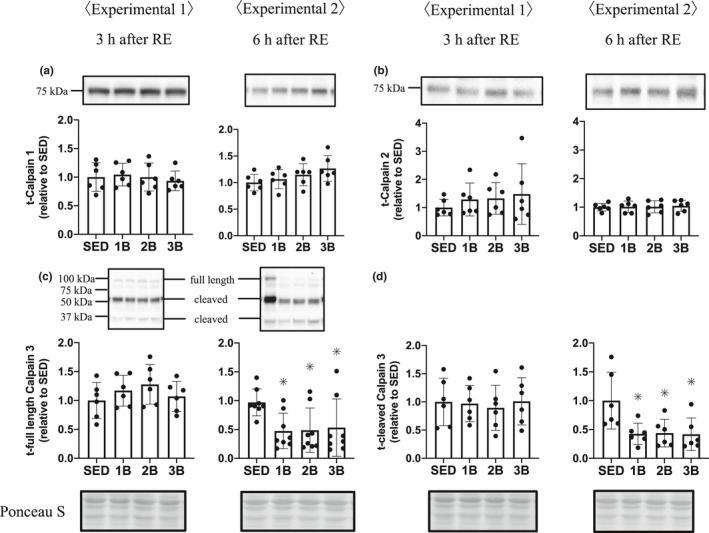 https://cdn.ncbi.nlm.nih.gov/pmc/blobs/01f8/8123562/f6fa4ba89693/PHY2-9-e14842-g007.jpg